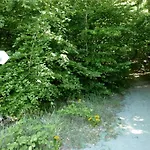 Meerurlaub 625 Seepark Mit Balkon * Sellin (Rugen)