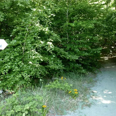 Meerurlaub 625 Seepark Mit Balkon * Зеллин